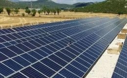 ‘Güneş Enerji Tarlası’ vurgunu: Binlerce kişi dolandırıldı