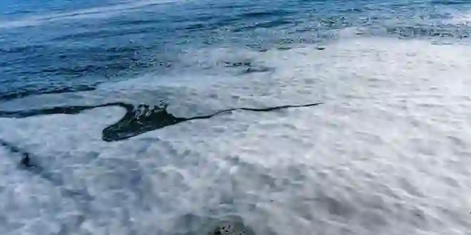 Akçakoca’da denizde köpük görünümünde tabaka oluştu