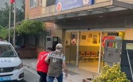 Esenler’de kediyi parçalayan pitbullun sahibi gözaltına alındı