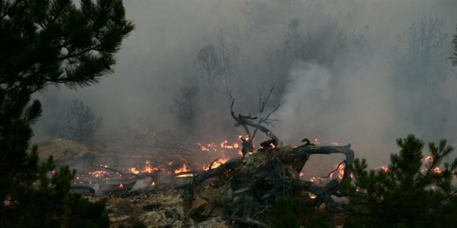 Bolu’daki orman yangınıyla ilgili 2 tutuklama