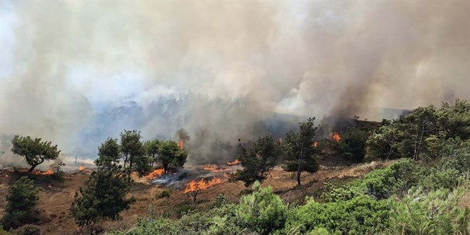 Bozcaada’da tarım arazisinde başlayıp ormana sıçrayan yangın kontrol altında