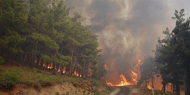 ‘İzmir’de yanan alan orman sınırı dışına çıkarıldı’ iddiasına açıklama