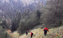 Bolu’da yaylada kaybolan yaşlı çift ölü bulundu