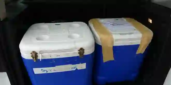 19 yaşındaki genç kızın organları can vermeye devam ediyor