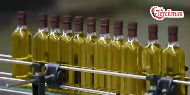 Aydın’da 3,5 ton tağşişli zeytinyağı ele geçirildi