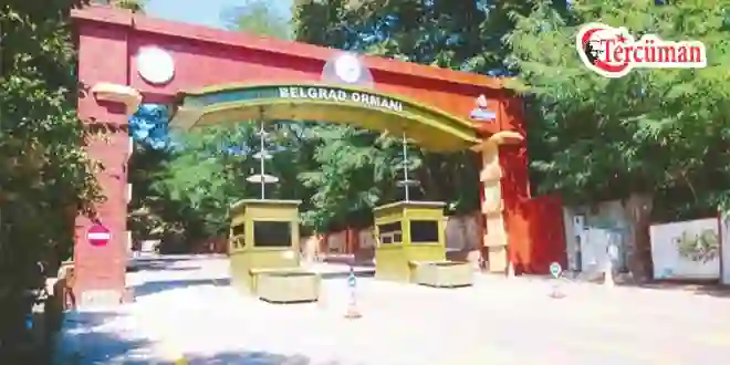 Belgrad Ormanı’nın işletmesi DKMP’ye devredildi