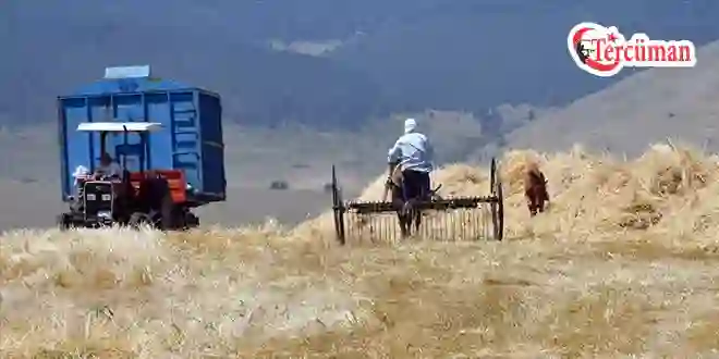 Çiftçilere 331,2 milyon lira tarımsal destekleme ödemesi yapılacak