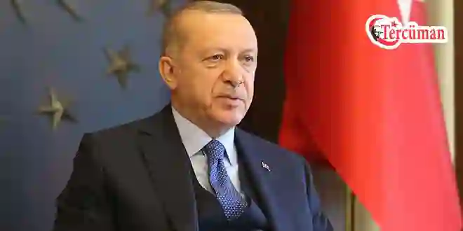 Erdoğan, Avusturya Başbakanı Nehammer ile telefonda görüştü