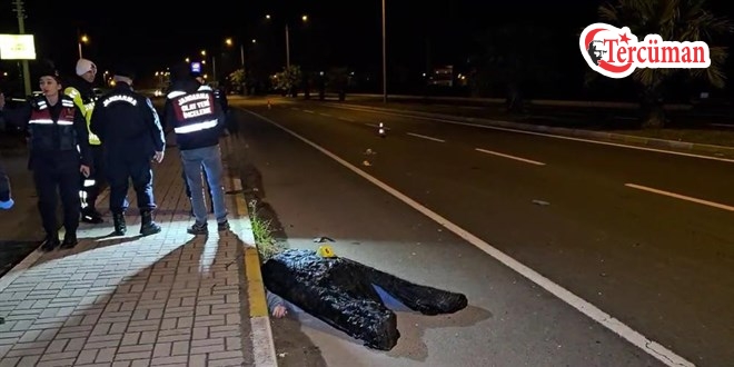 Kardeşini korumak isterken otomobilin çarpmasıyla hayatını kaybetti