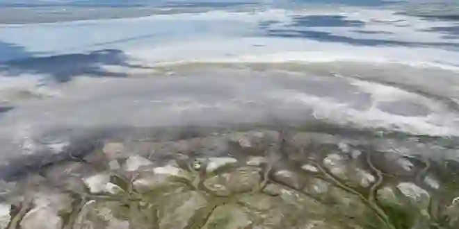 Türkiye’nin çölleşme ile mücadeledeki yol haritası