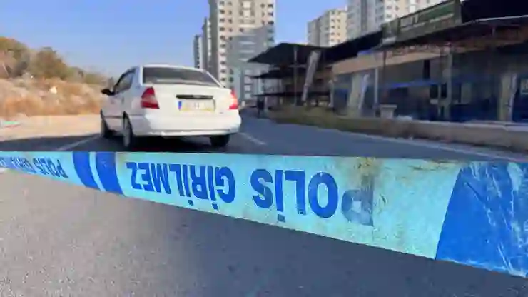 Cezaevinden 3 gün önce çıkan madde bağımlısı, babaanesi ve dedesini öldürdü