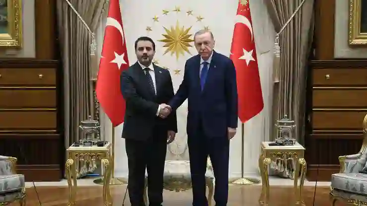 Cumhurbaşkanı Erdoğan, Suriye’deki yeni yönetimin Dışişleri Bakanı Şeybani’yi kabul etti