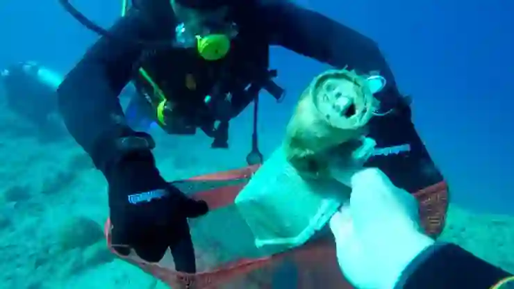 Denizlerden 5 yılda 245 bin ton çöp toplandı