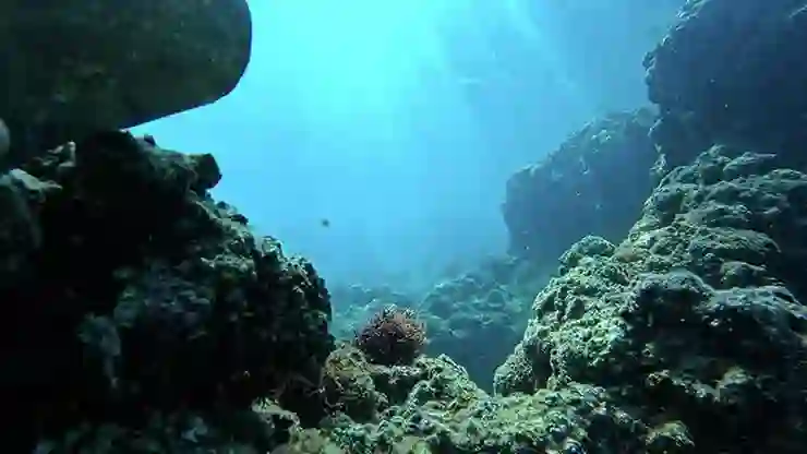 Derin denizlerdeki gizem çözüldü: ‘Diğer gezegenlerde yaşamı mümkün kılabilir’