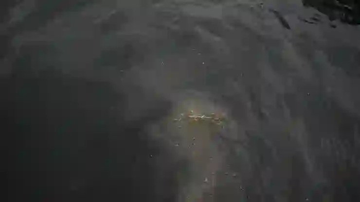 İSKİ’ye denizi kirlettiği için 1.3 milyon lira ceza kesildi