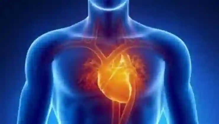 Kalp Kapak Hastalıkları: Nedenleri ve Tedavi Yöntemleri