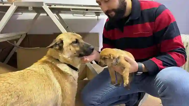 Ölmek üzere olan yavrusunu veterinere getirdi: Kalbin duran yavru köpeğin başından bir an olsun ayrılmadı