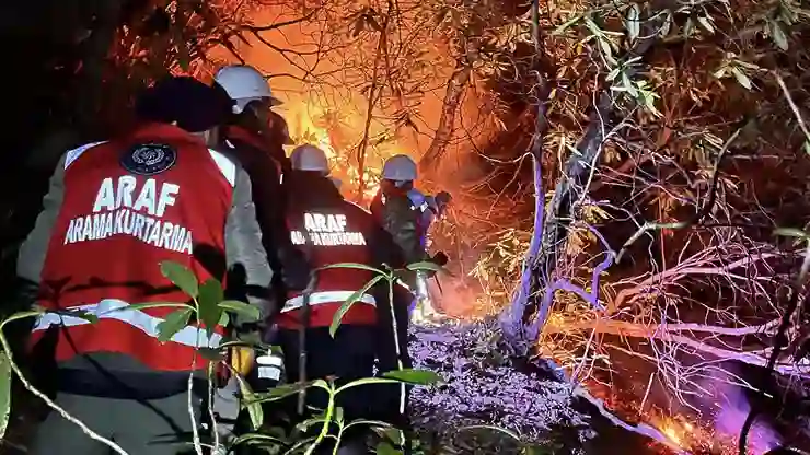 Rize’de anız yangını ormana sıçradı: 15 dönüm alan zarar gördü