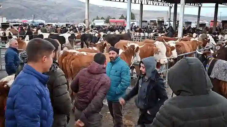 Şap hastalığı nedeniyle Çorum’dan sonra Yozgat’ta da canlı hayvan pazarları kapatıldı