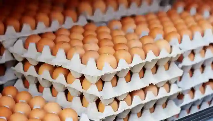 Yumurta kanatlandı uçuyor: Fiyatı 6 TL’yi aştı