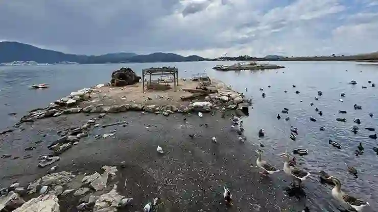 Balıkesir’in bazı ilçelerinde deniz kıyısında su çekilmesi yaşandı