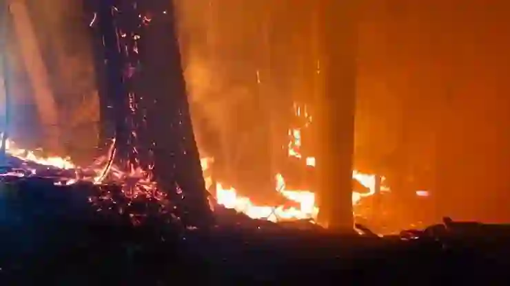 Japonya’da 12 gündür süren orman yangını kontrol altına alındı