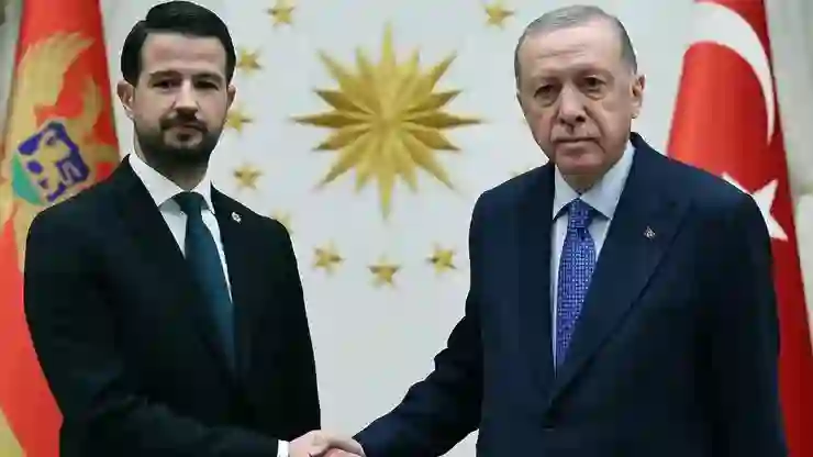 Cumhurbaşkanı Erdoğan, Karadağ Cumhurbaşkanı Milatovic ile bir araya geldi