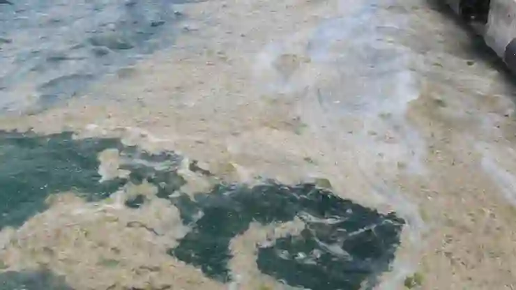 Marmara Denizi’nde müsilajın son durumu yerinde incelendi