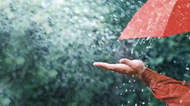 Meteoroloji gün verdi: Ülke genelinde yağış bekleniyor