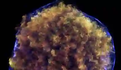 NASA’dan ‘zombi yıldız’a yakın takip