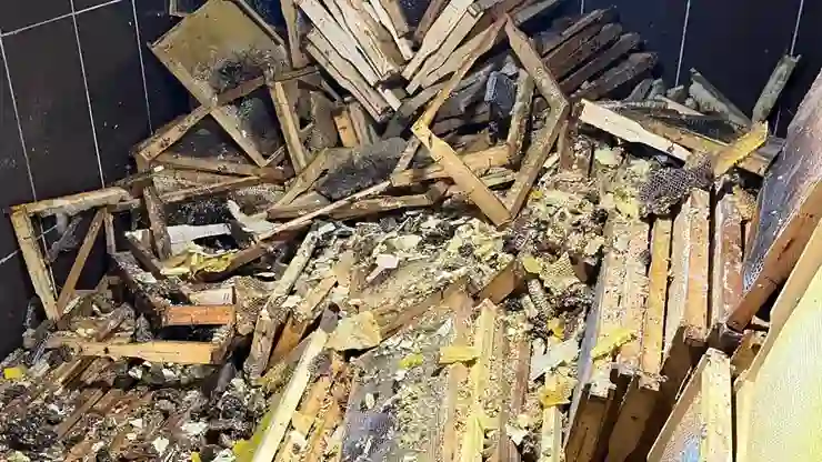 Rize’de kış uykusundan uyanan ayılar 30 eve zarar verdi!