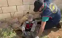 Telefon dolandırıcılarına tutuklama