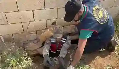 Telefon dolandırıcılarına tutuklama