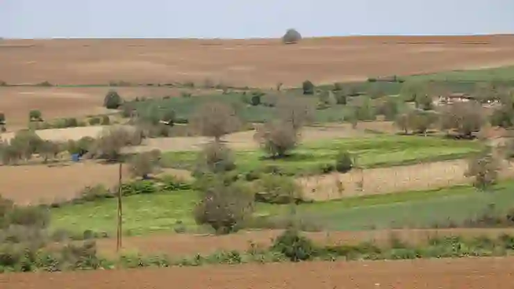 Trakya’da artan böcek popülasyonu tarımsal üretimi olumsuz etkiliyor