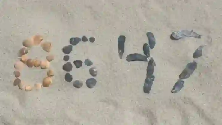 “8647” kodu sosyal medyada paylaşıldı, istihbarat harekete geçti