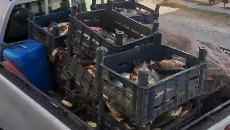 Elazığ’da kaçak avlanan 700 kilogram balık ele geçirildi