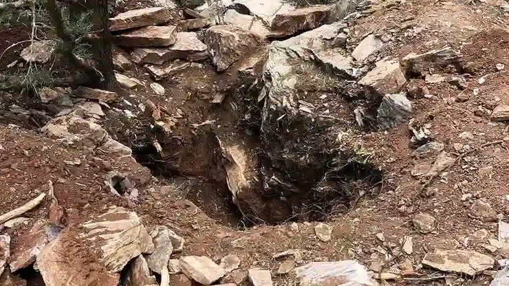 Eski vali ile emekli albay define ararken yakalandı