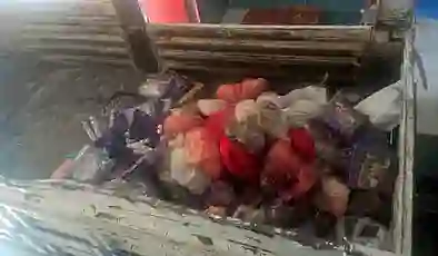 Gaziantep’te 1,5 ton bozuk et ele geçirildi