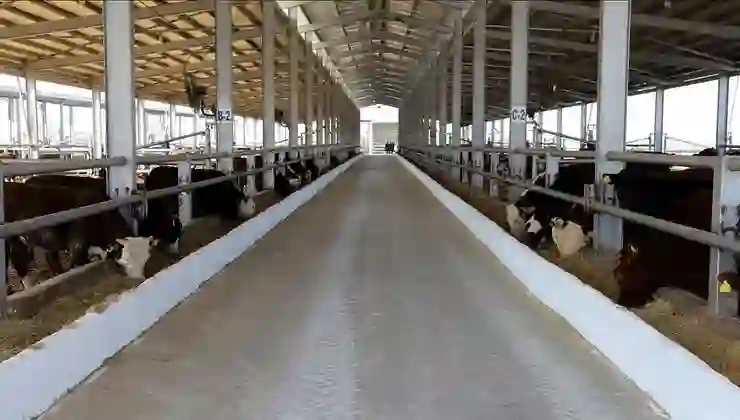 Hakkari’de şap alarmı: Kent genelinde hayvan giriş çıkışları yasaklandı