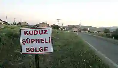 Hatay’da 4 mahalle için kuduz karantinası kararı