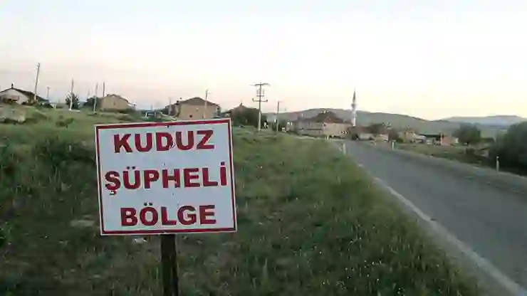 Hatay’da 4 mahalle için kuduz karantinası kararı