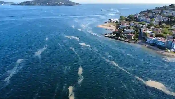 Kınalıada’da müsilaj alarmı