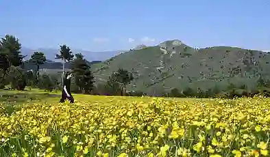 Limni Gölü’nde turizm sezonu açıldı