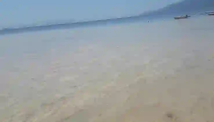 Marmara’da endişelendiren görüntü: 2021 yılına benzer bir kriz yaşanabilir