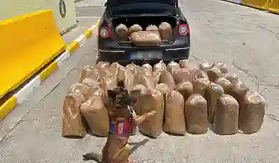 Mersin’de kaçakçılık operasyonu; 292 bin 102 makaron ve 250 kilogram bandrolsüz tütün ele geçirildi
