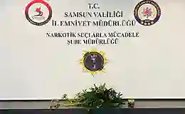 Samsun’da evde kurdukları serada kenevir yetiştiren 2 kişiye gözaltı