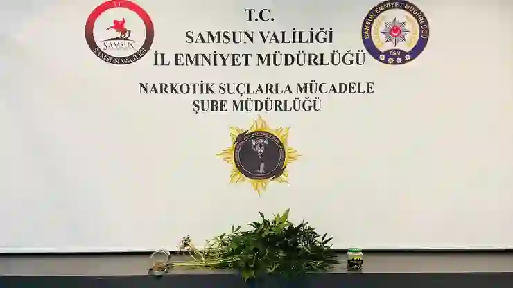 Samsun’da evde kurdukları serada kenevir yetiştiren 2 kişiye gözaltı