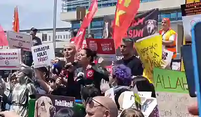 Sera Kadıgil AYM önünde konuştu: Bir grup azgın azınlığın, milyonlarca hayvanın canına göz diktiği bir ortamdayız!