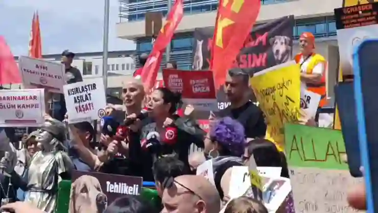 Sera Kadıgil AYM önünde konuştu: Bir grup azgın azınlığın, milyonlarca hayvanın canına göz diktiği bir ortamdayız!