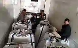 Sivas’ta 7 kaçak göçmen yakalandı